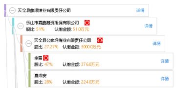 天全縣鑫順煤業(yè)有限責任公司 中興順鑫 區(qū)域煤炭產(chǎn)業(yè)的支柱與轉(zhuǎn)型探索